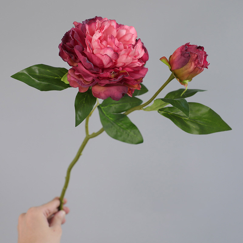 1PC Retro 2 Head Peony Simulat - огляд і ціна Photography Lighting Simulation