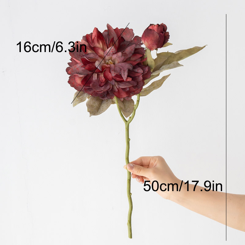 1PC Light Luxury 2 Head Big Pe - огляд і ціна Photography Lighting Simulation